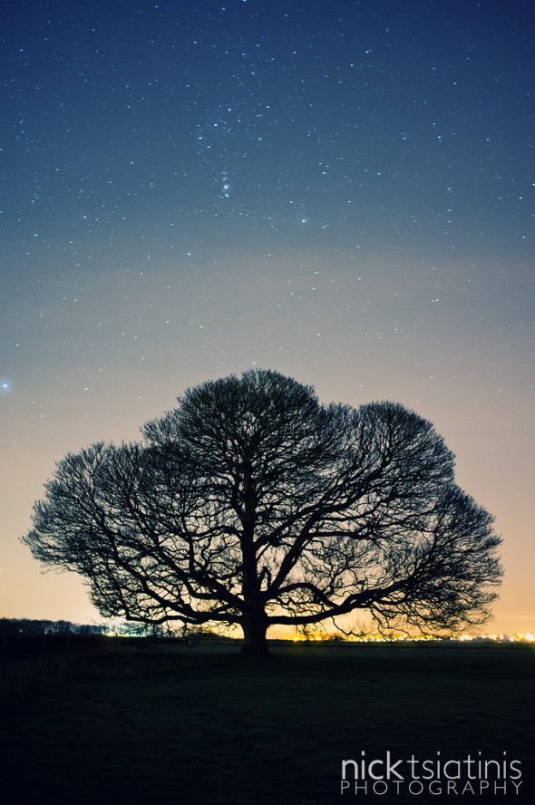 Star field photograph of the Peckleton Tree